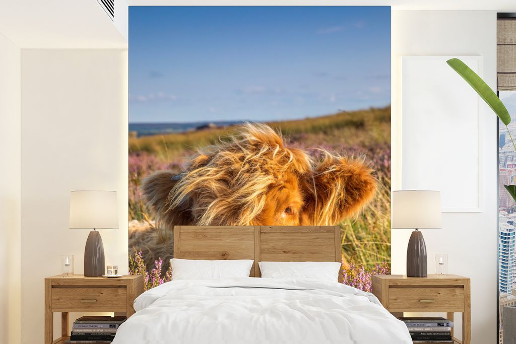 MuchoWow Fototapete für Wohnzimmer oder Schlafzimmer Wandtapete Vinyl Motivtapete Schottische Highlander - Heide - Gras - Tiere - 190x260 cm - P...