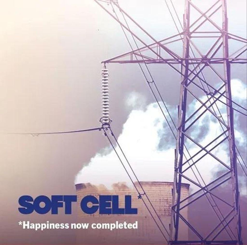 Soft Cell: *Happiness Now Completed