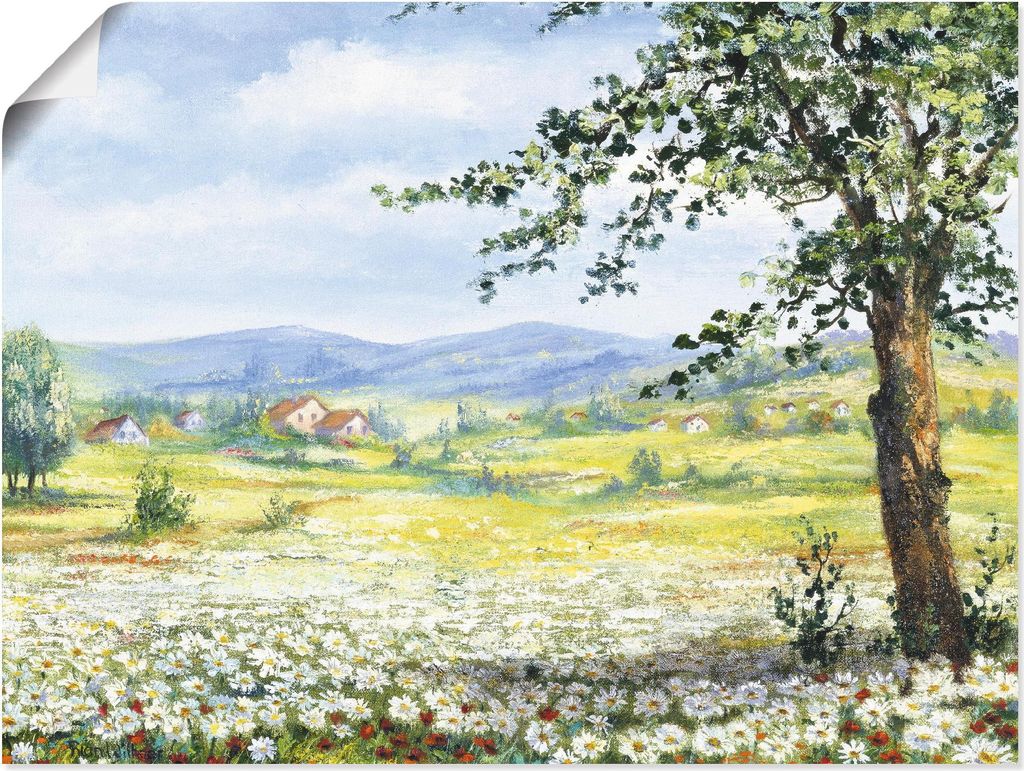 ARTland Poster Margeritenfeld Größe: 40x30 cm