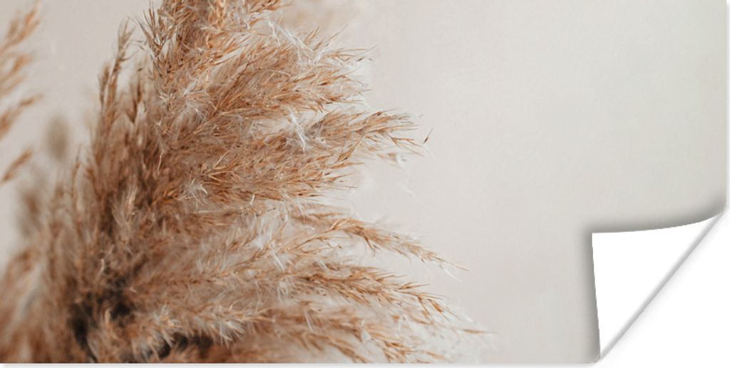 MuchoWow Poster Gras - Pflanzen - Natur - Pampasgras 160x80 cm - Foto Poster