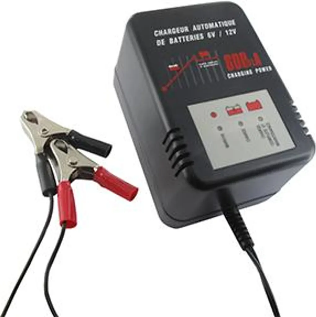 Chargeur Mainteneur de Batterie 6V 12V pour Hivernage Moto et Petit Plomb