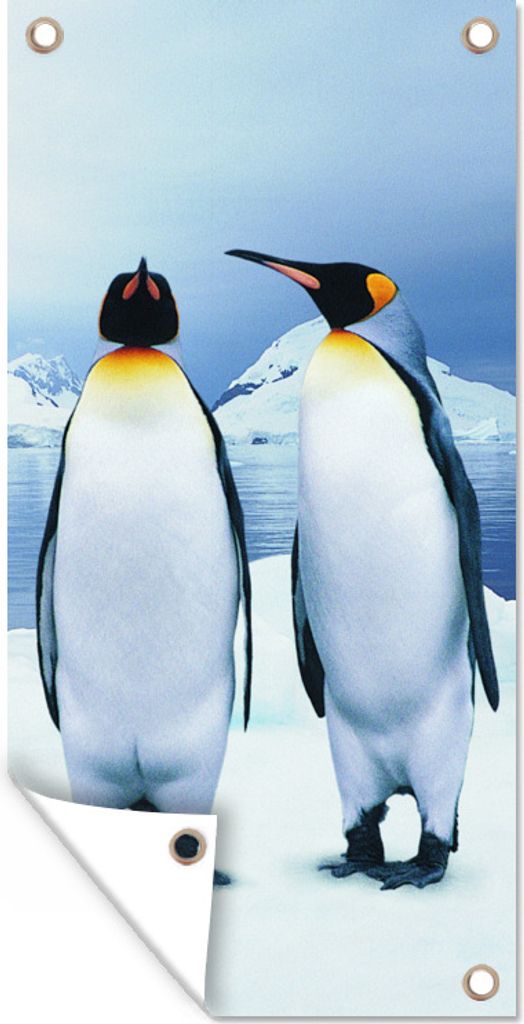 MuchoWow 40x80 cm Outdoor-Poster Gartendeko Sichtschutz Garten Poster für den Garten Drei Pinguine Porträt