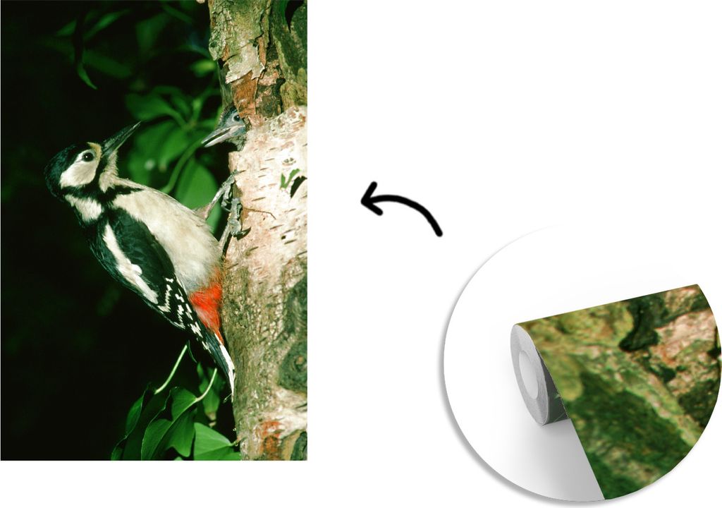 MuchoWow Fototapete für Wohnzimmer oder Schlafzimmer Wandtapete Vinyl Motivtapete Ein Buntspecht an einem Baum - 180x280 cm - Wallpaper