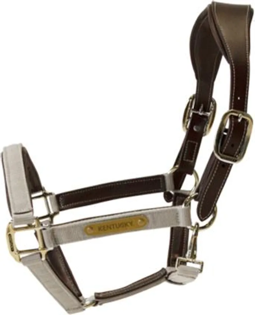 Cavezza Kentucky Anatomic Nylon Beige Full - Comfort e Stile da Scuderia