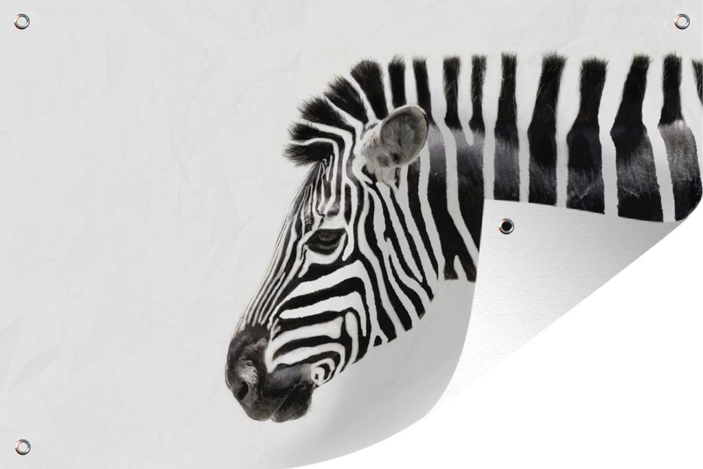 MuchoWow 90x60 cm Outdoor-Poster Gartendeko Sichtschutz Garten Poster für den Garten Zebra - Tiere - Weiß