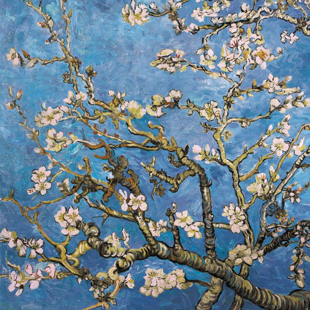 Vincent Van Gogh Kunstdruck Bild - Blühende Mandelbaumzweige, 1890 (40 x 40 cm)