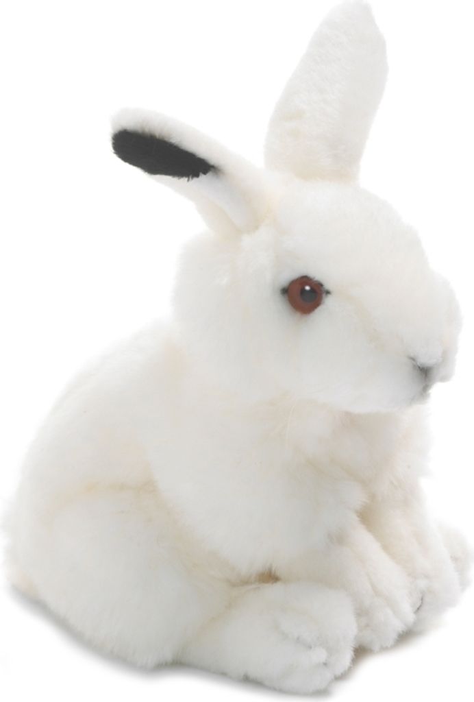 A plush toy rabbit sitting on a white background.
