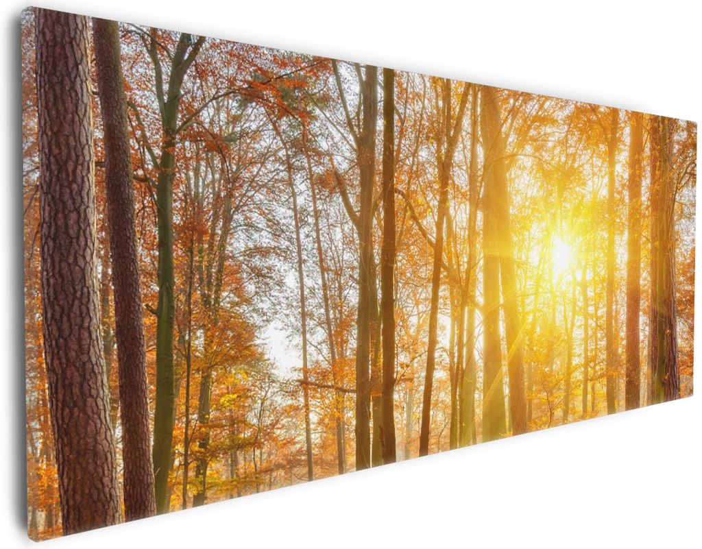 Wallario Premium Leinwandbild Sonnenuntergang im herbstlichen Wald in Größe 30 x 75 cm