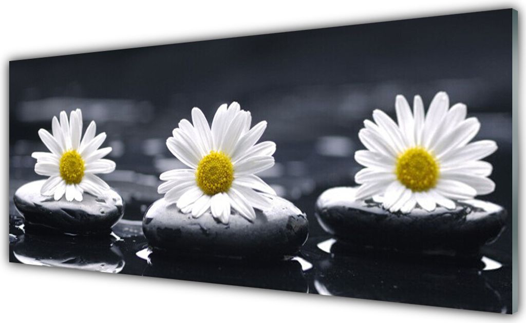 Glasbilder 125x50 Wandbild Druck auf Glas Gänseblümchen Steine Pflanzen