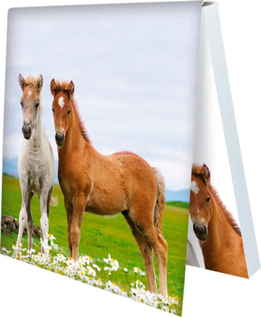 Klebezettel / Haftnotizen - Zwei Fohlen auf der Blumenwiese Haftzettel