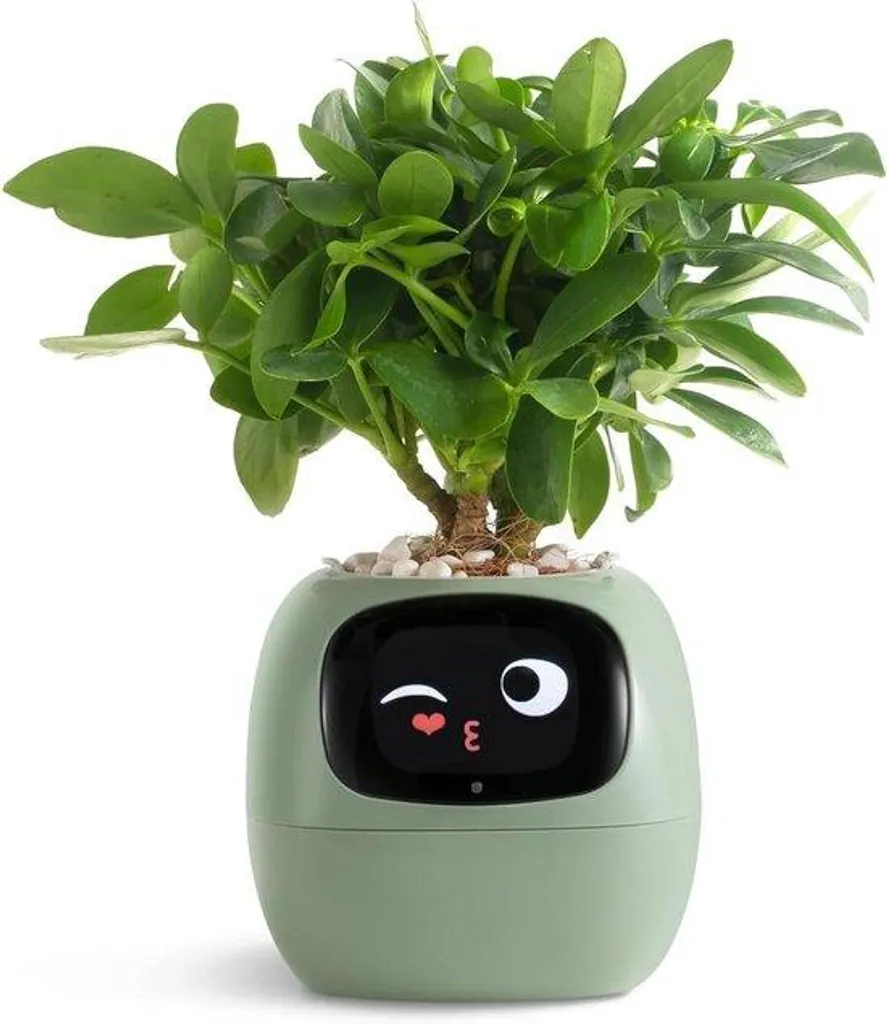 Robot horticole interactif à écran émoji avec son pot vert mat