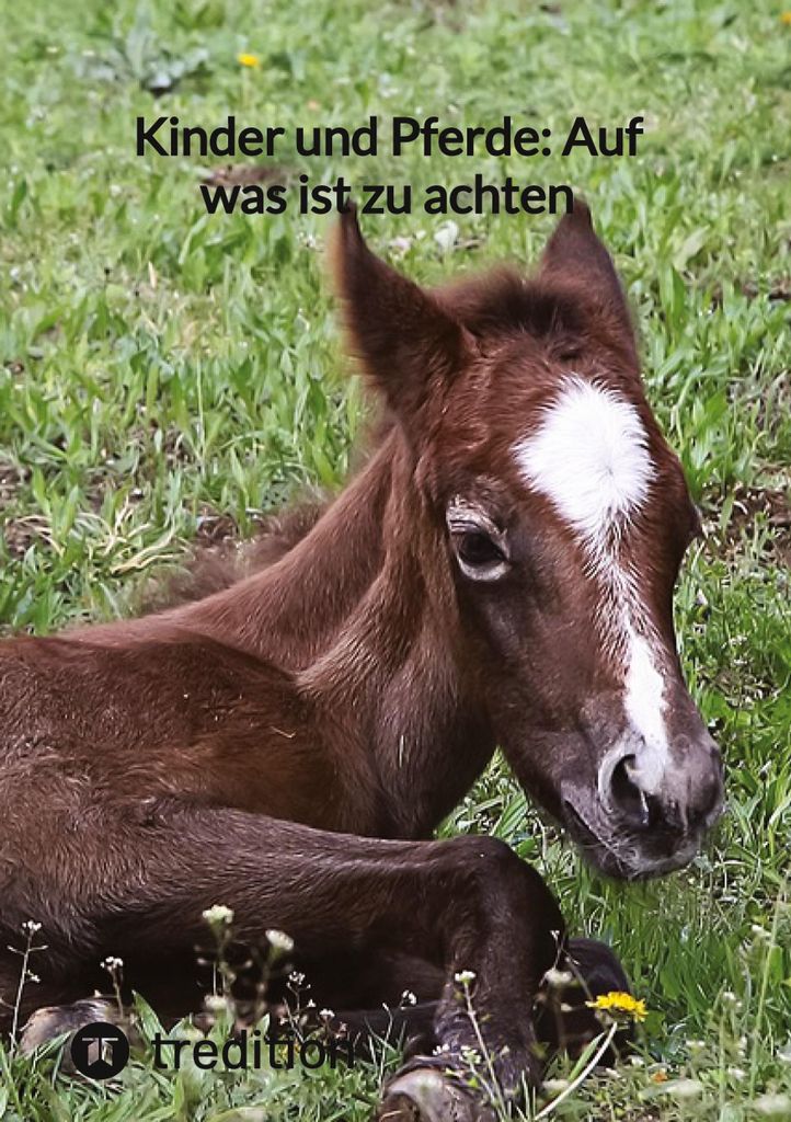 Kinder und Pferde: Auf was ist zu achten