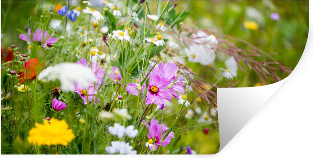MuchoWow Wandtattoo Wandsticker Wandaufkleber Blumen - Natur - Grün - Gras - Lila - Weiß 120x60 cm Selbstklebend und Repositionierbar - Sticker...