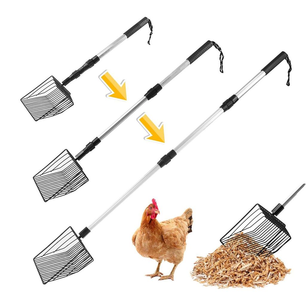 Three scoops with telescoping handles are shown, along with a chicken and a pile of wood shavings.