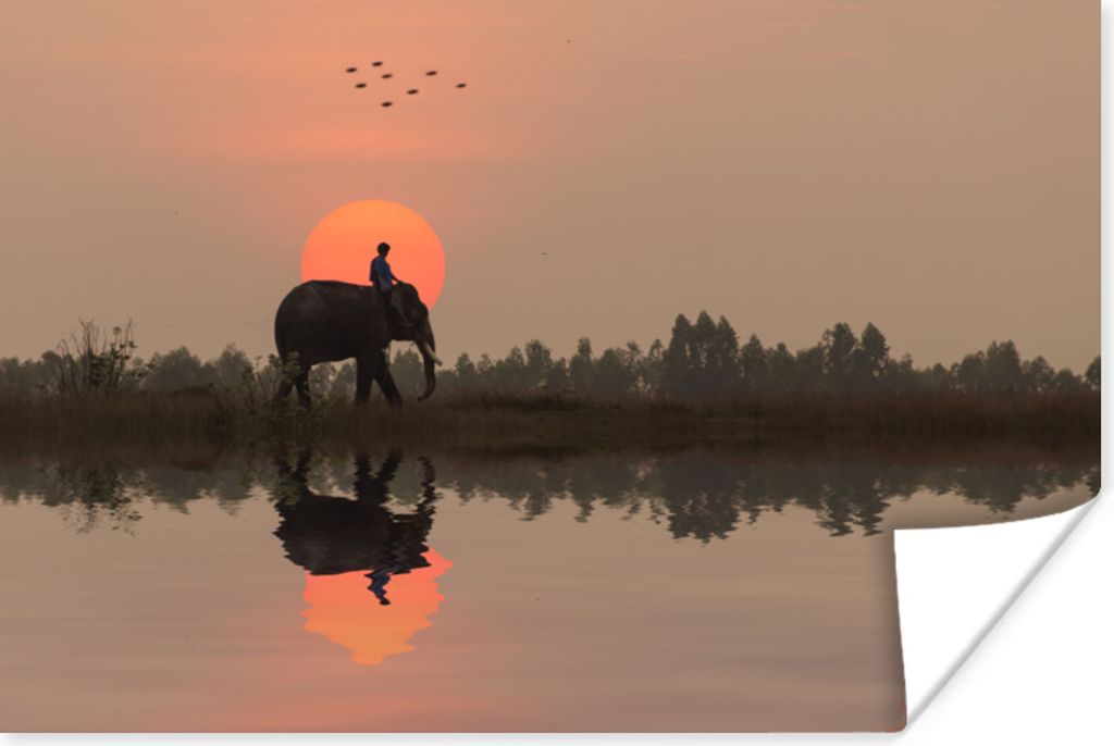 MuchoWow Poster Ein Elefant in einem Reisfeld bei Sonnenuntergang in Thailand 180x120 cm - Fotoplakat