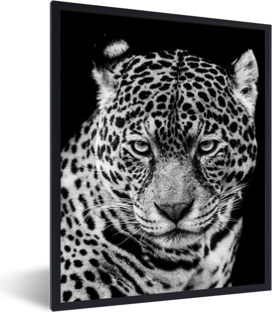 MuchoWow Gerahmtes Poster Leopard - Tiere - Schwarz - Weiß - Porträt 30x40 cm - Poster mit Schwarzem Bilderrahmen Wandposter Rahmen Foto Bilder...