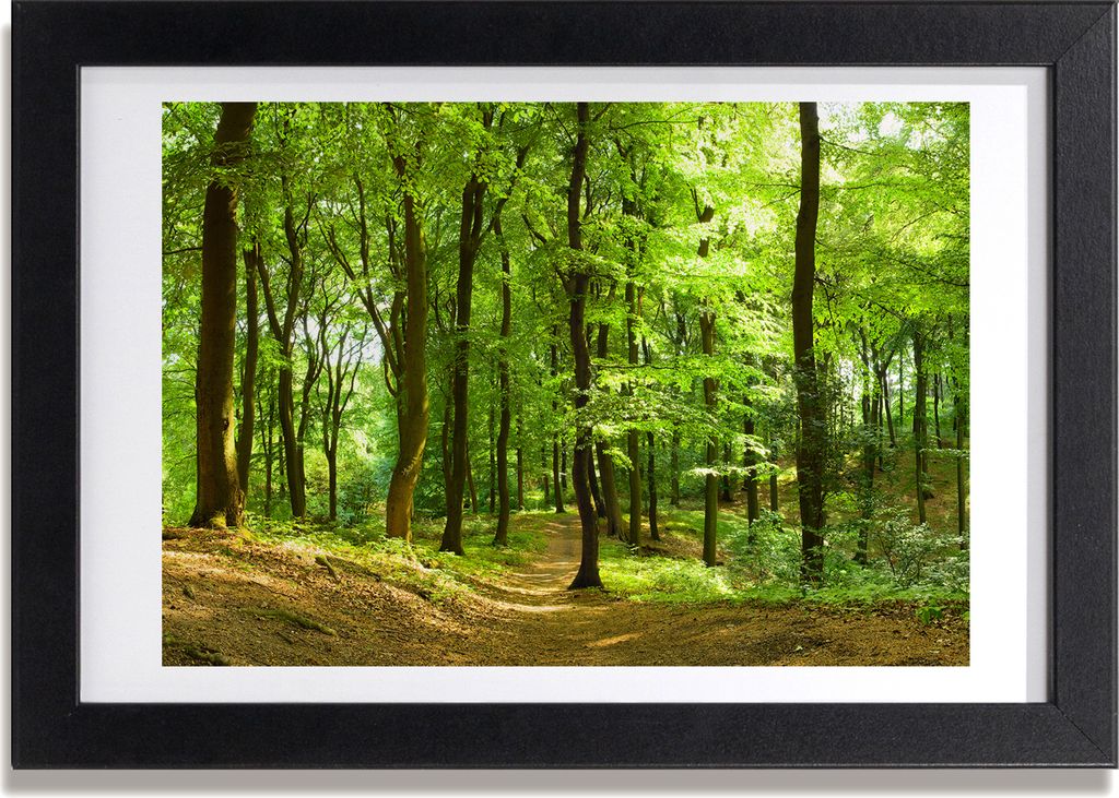Bild 30x20 MDF-Rahmen, Wandkunst Forstweg