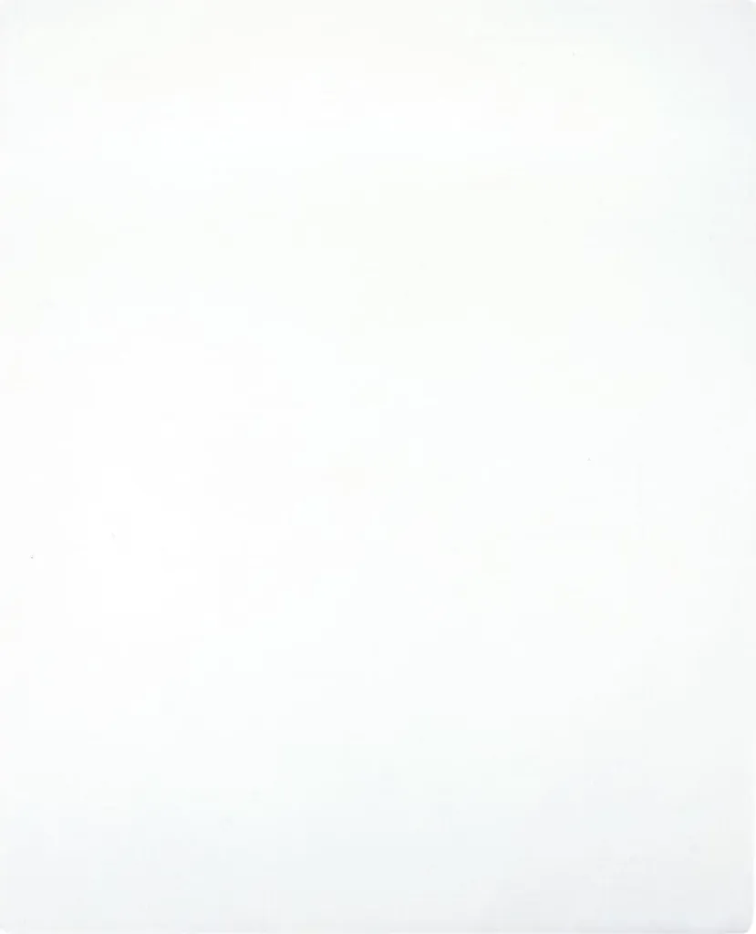 Lenzuolo Matrimoniale Jersey Cotone 180x200 Bianco Soft Touch