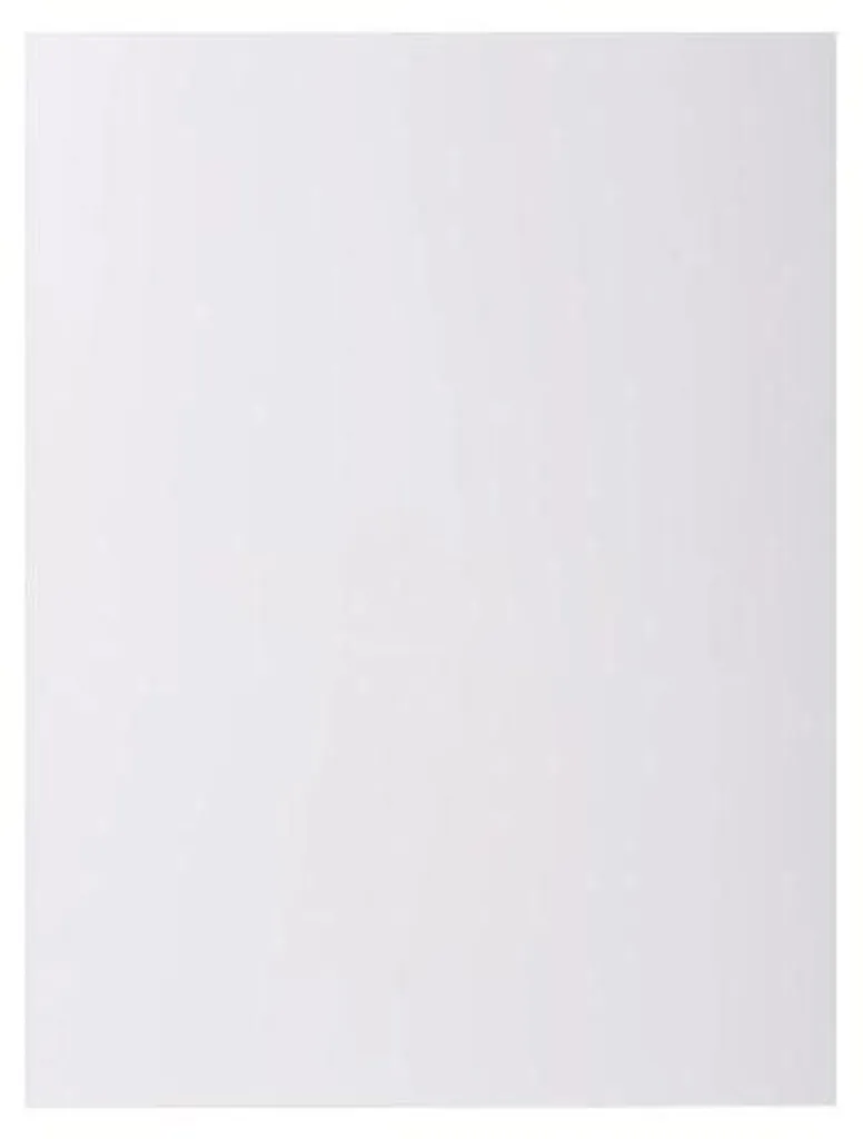 Lot 100 Chemises Rock's 210 Exacompta Blanc 24x32 cm Carte Recyclée Rigide