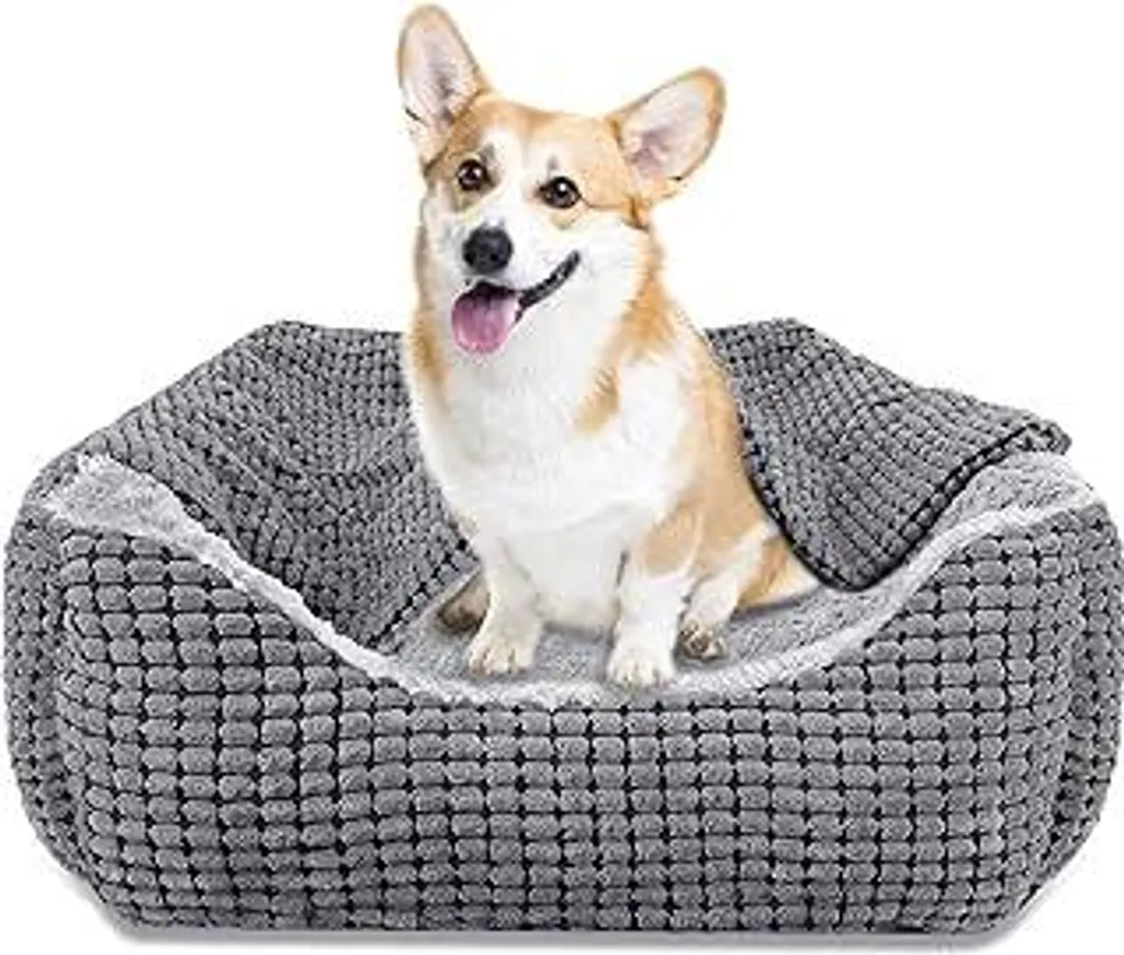 JOEJOY Cuccia Cane Taglia Media 64x53x20cm | Velluto Lavabile e Morbido