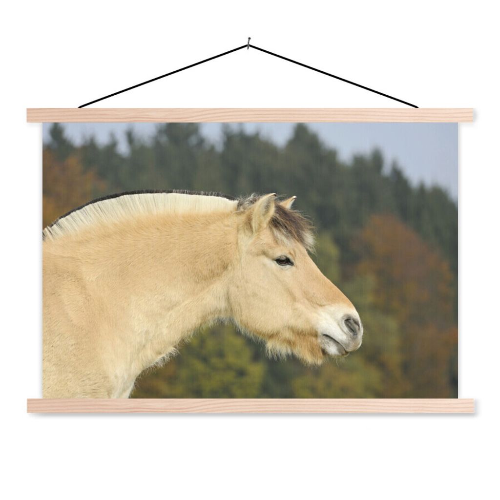 MuchoWow Textilposter Nahaufnahme eines hellbraunen Fjordpferdes 120x80 cm mit holzfarbenen Rahmen - Aufhängeset