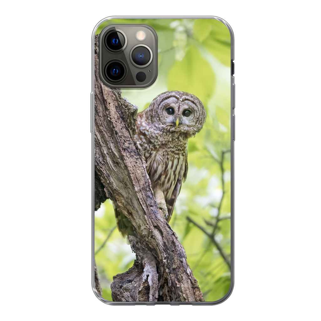MuchoWow Handyhülle Schutzhülle Hülle für iPhone 12 Pro Eule - Wald - Licht Silikon Softcase Handy Hülle - Abdeckung