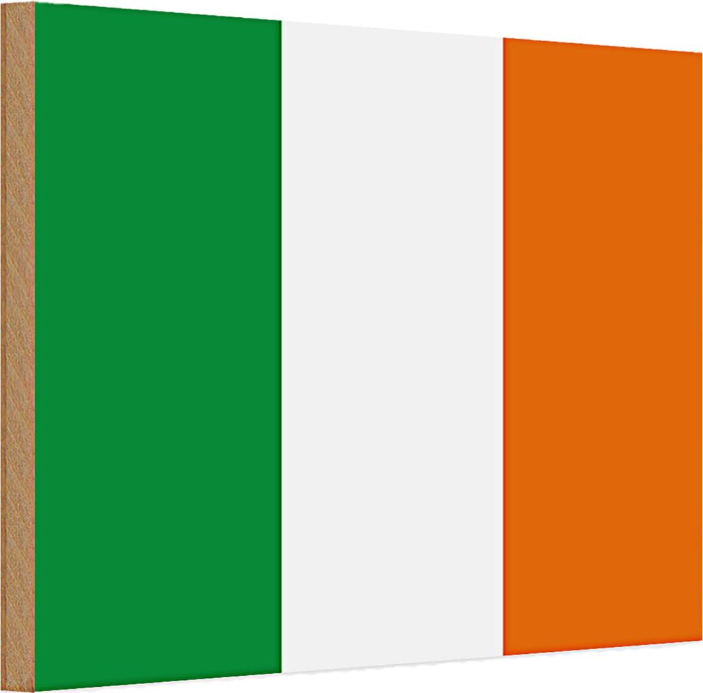 Holzschild Flagge Irland 30x20cm Flag of Ireland
