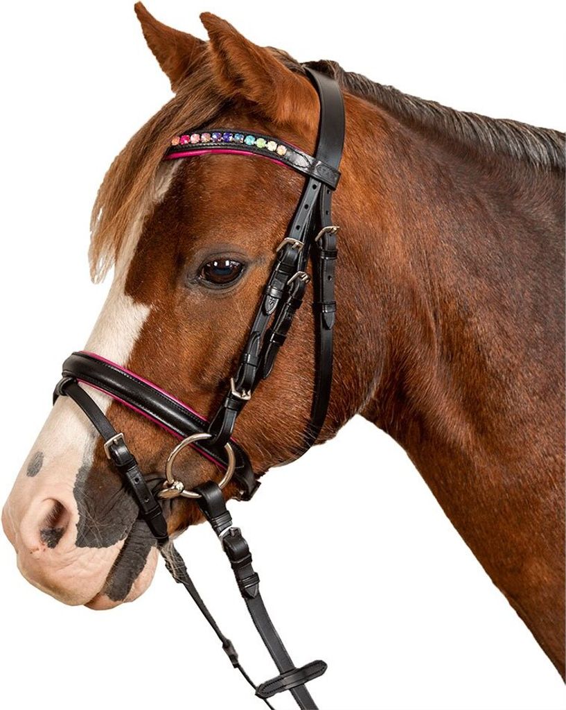 Waldhausen Trensenzaum Star Pinky Trense Schwarz Pony Produktbild 2