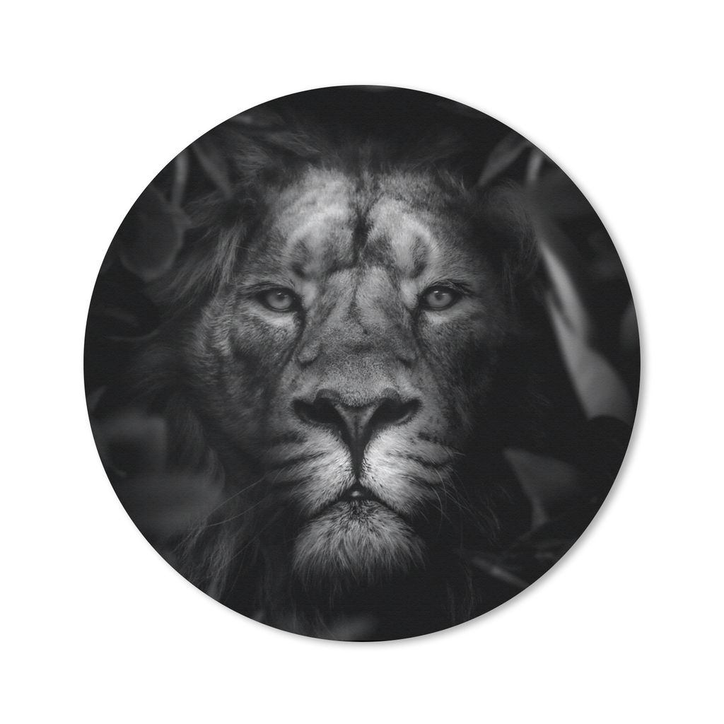MuchoWow Mauspad Mousepad Tiere - Löwe - Dschungel - Schwarz - Weiß 30x30 cm - Mousepads - Maus Mat - Pad - Mausunterlage - Tischunterlage - Sc...