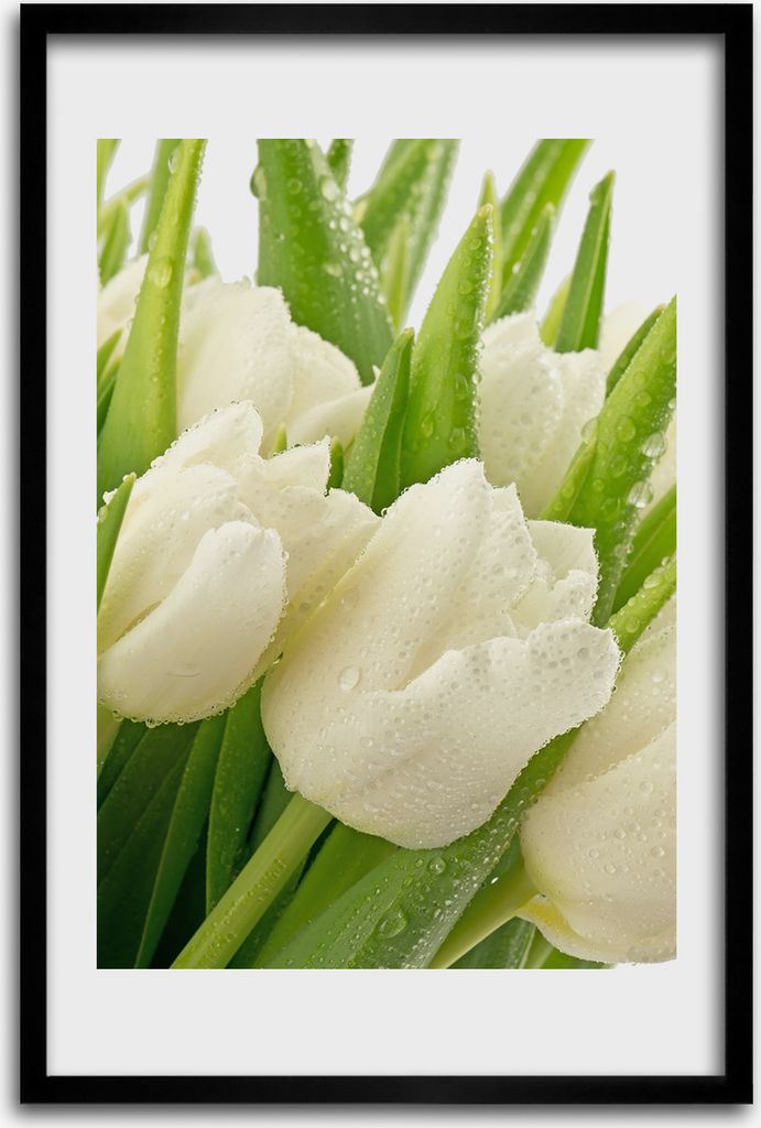Bild - Bilderrahmen - 40 cm x 60 cm - MDF - Rahmen - Wandkunst - Weiße Tulpen