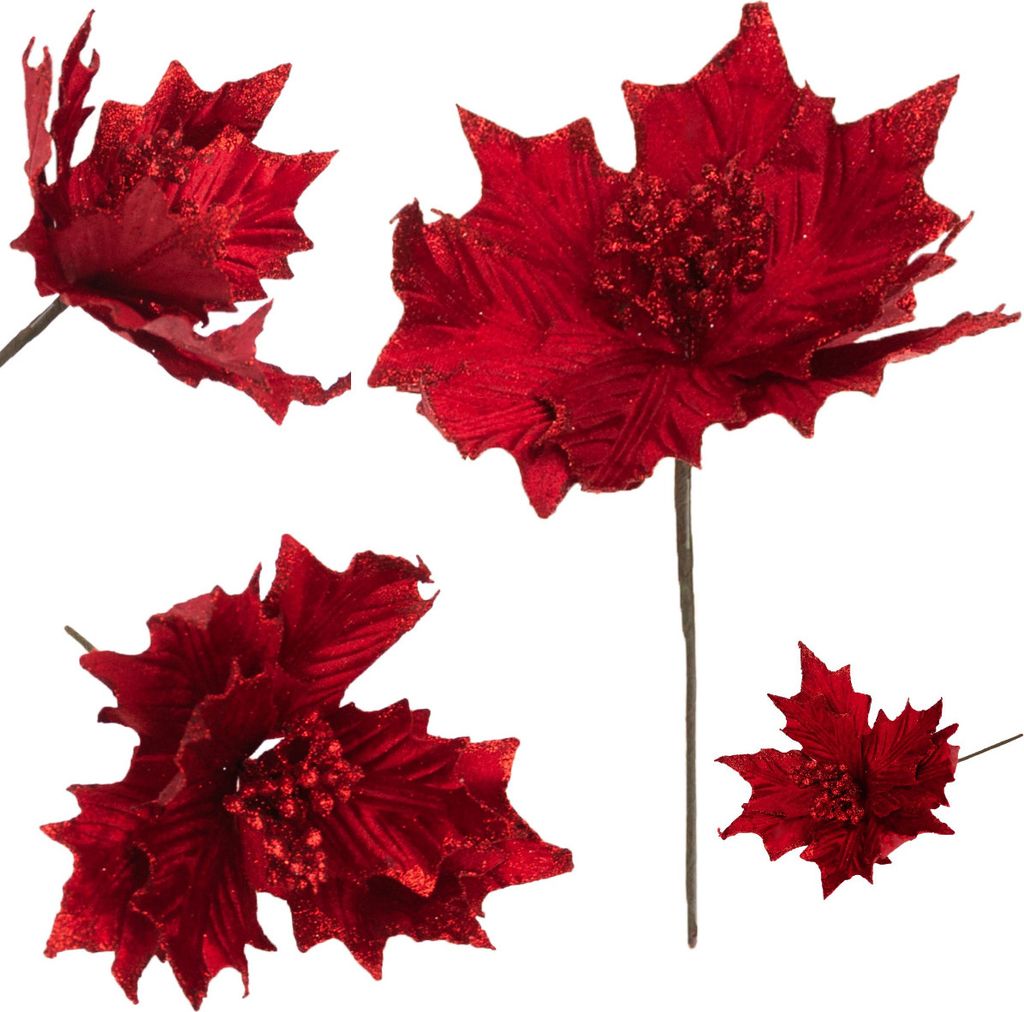 Étoile De Bethléem Sur Plume Poinsettia Renversée Brocart Image du produit 