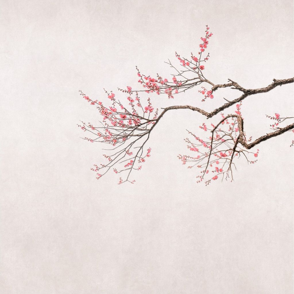 Fototapete 361087 Vliestapete Blumen Floral 265 x 300 cm Rasch Selection Beige