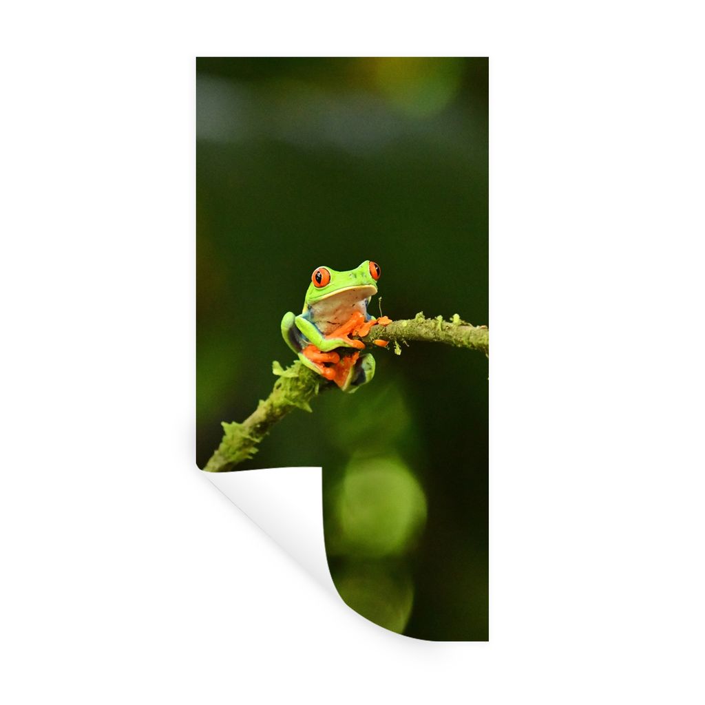 MuchoWow Wandtattoo Wandsticker Wandaufkleber Frosch - Äste - Grün 60x120 cm Selbstklebend und Repositionierbar - Selbstklebend - Fototapeten