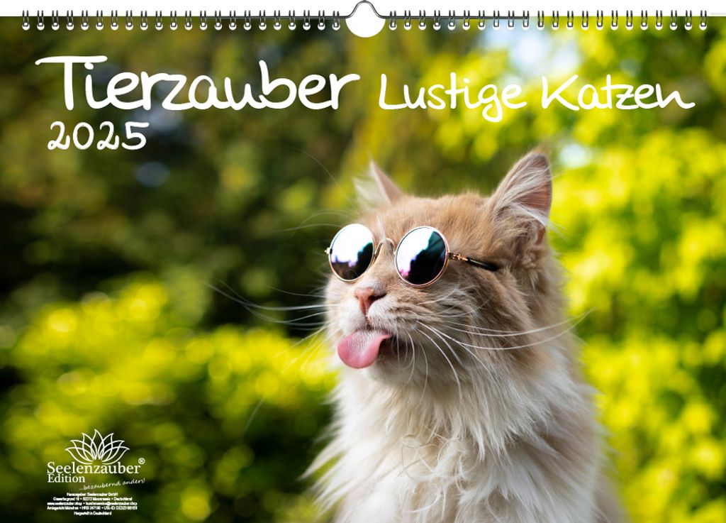 Tierzauber lustige Katzen DIN A3 Kalender für 2025 Lustige Katzen - Seelenzauber