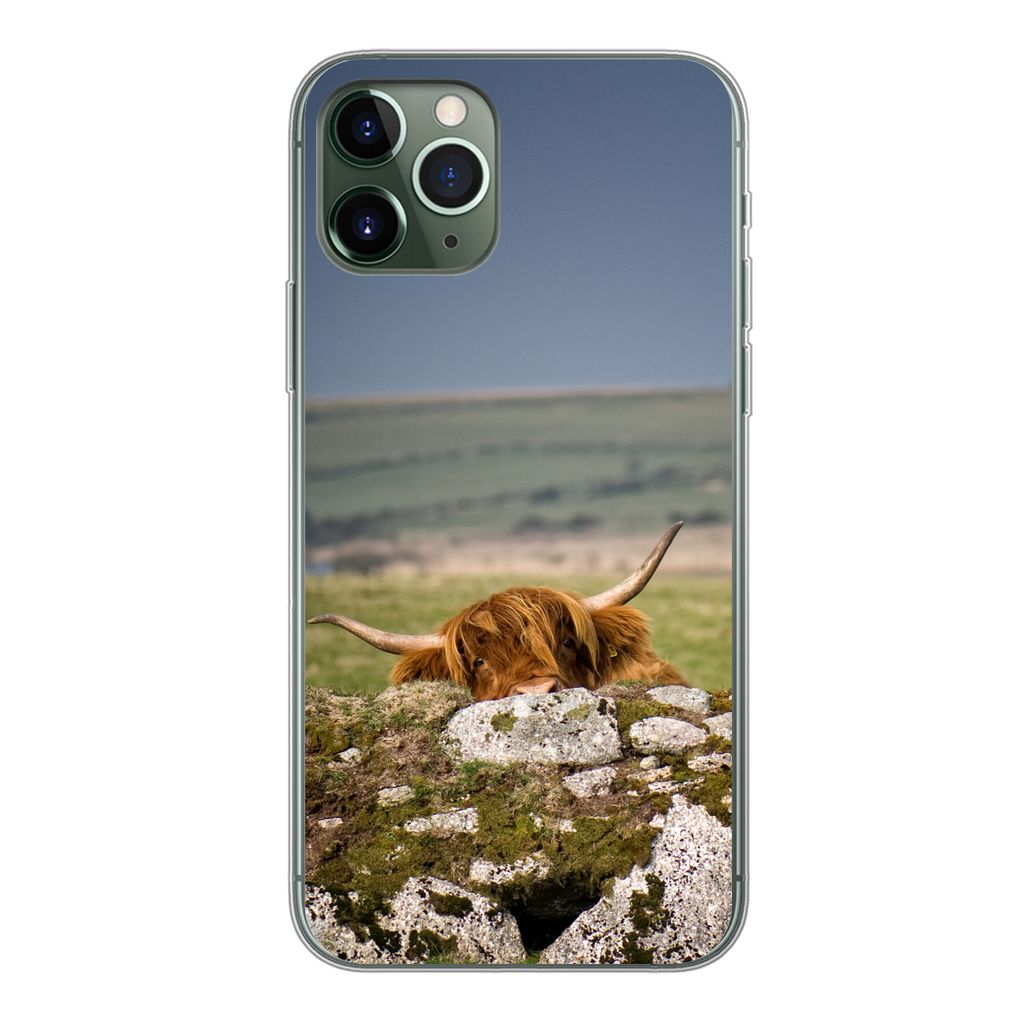 MuchoWow Handyhülle Schutzhülle Hülle für iPhone 11 Pro Schottische Highlander - Steine - Gras Silikon Softcase Handy Hülle - Handy