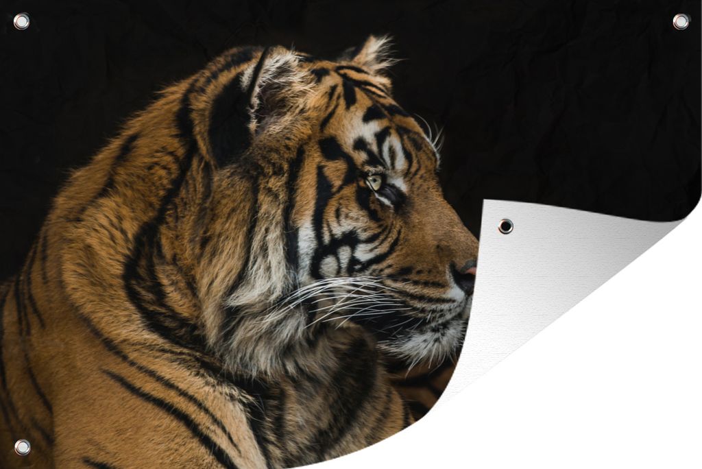 MuchoWow 90x60 cm Outdoor-Poster Gartendeko Sichtschutz Garten Poster für den Garten Tiger - Tierkopf - Schwarz