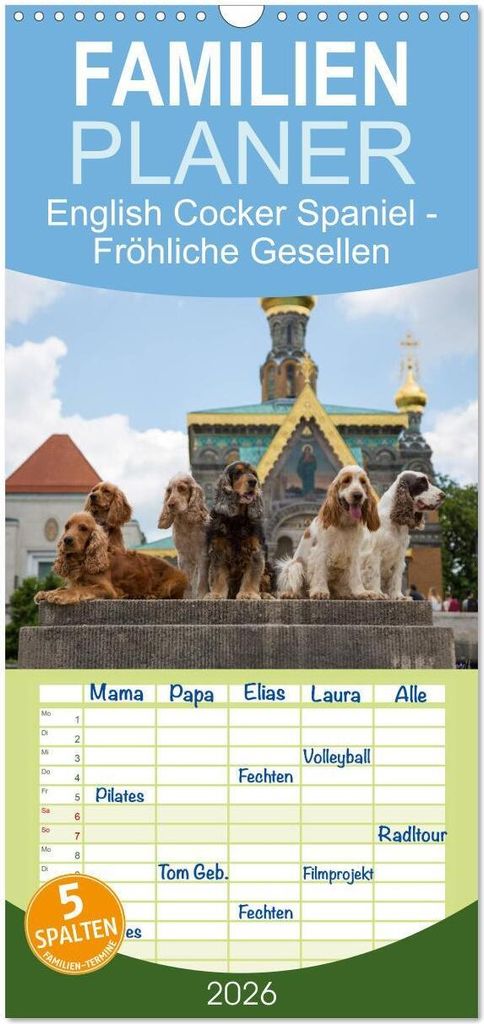 Familienplaner 2026 - English Cocker Spaniel - Fröhliche Gesellen mit 5 Spalten (Wandkalender, 21 x 45 cm) CALVENDO