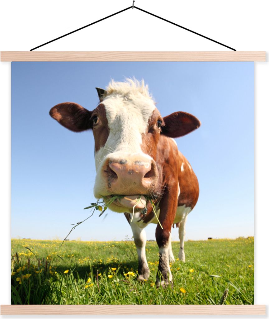 MuchoWow Textilposter Kuh - Tiere - Blumen - Gras 40x40 cm mit holzfarbenen Rahmen - Posterleiste