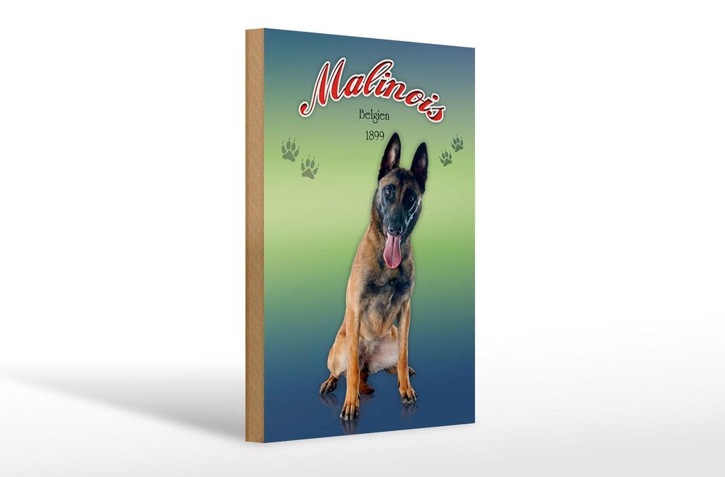 Holzschild Hund 20x30cm Malinois Belgien 1899 Produktbild 