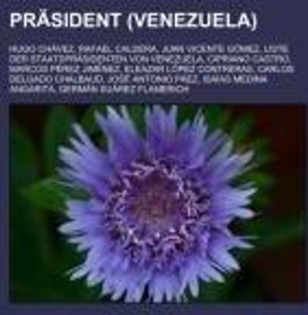 Präsident (Venezuela)