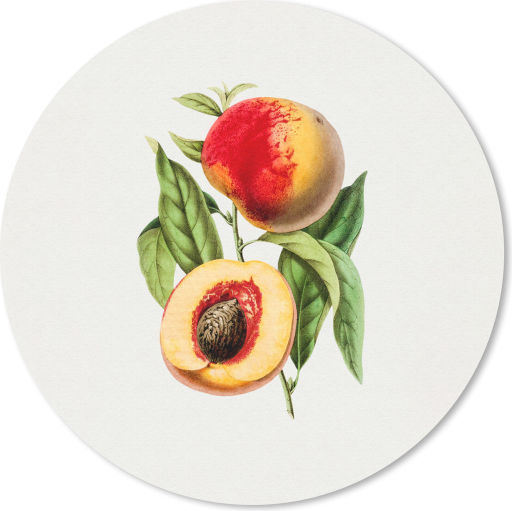 MuchoWow Mauspad Mousepad Pfirsich - Frucht - Blatt 20x20 cm - Mousepads - Maus Mat - Pad - Mausunterlage - Schreibtischmatte
