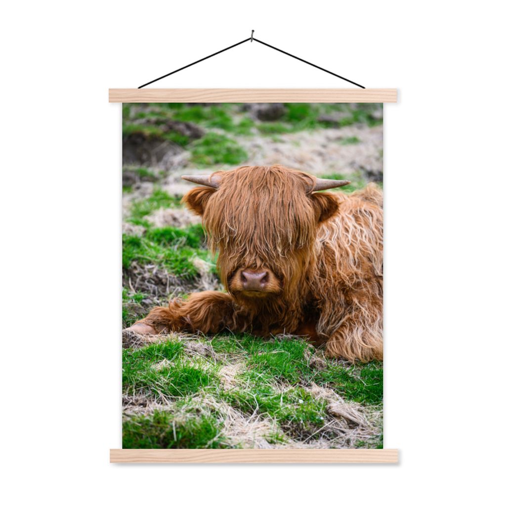 MuchoWow Textilposter Schottischer Highlander - Heu - Gras 120x160 cm mit holzfarbenen Rahmen - Plakatkarton