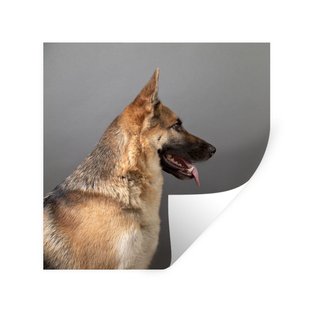 MuchoWow Wandtattoo Wandsticker Wandaufkleber Seitenansicht eines Deutschen Schäferhundes 30x30 cm Selbstklebend und Repositionierbar - Repositi...