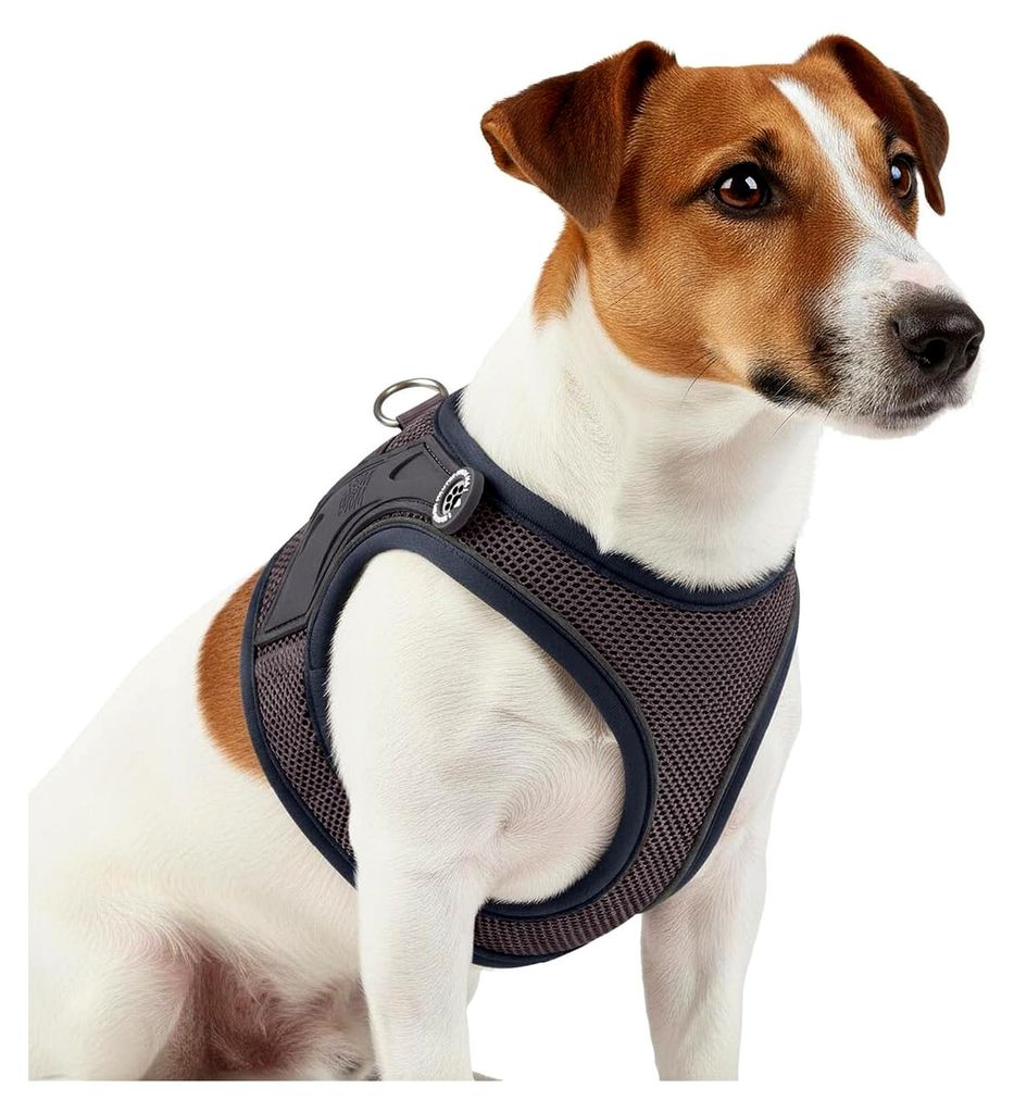 Max & Molly Hundegeschirr Matrix 2.0 Stone/M als Air Vest Geschirr, Step-In Geschirr mit Gotcha! Smart ID, Außenseite aus leichtem Air Mesh Materi...