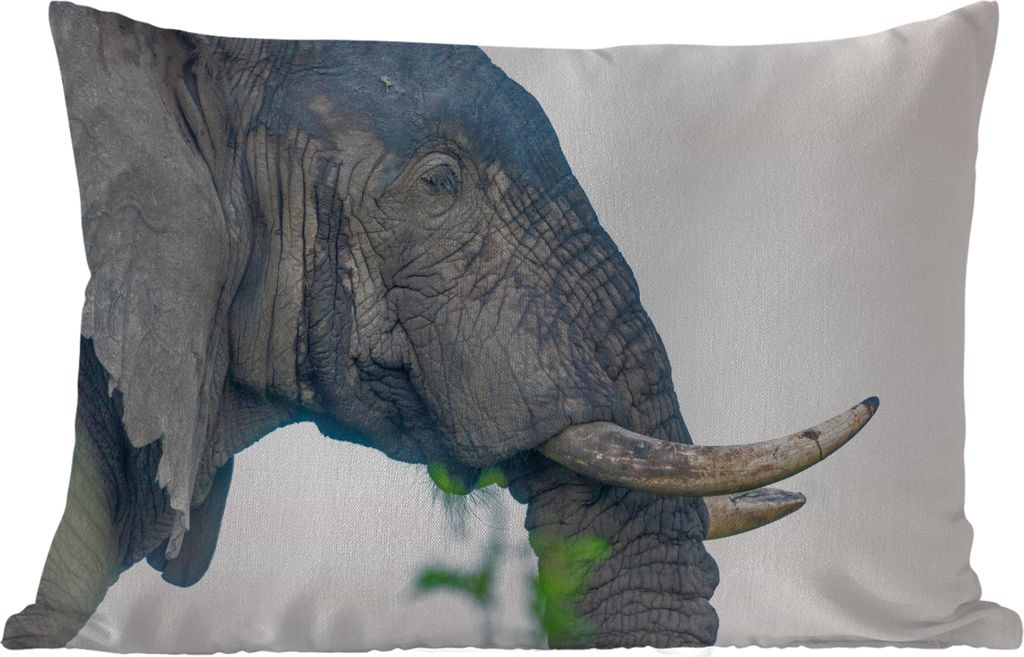 MuchoWow® Outdoor Kissen - Elefant - Tiere - Grau - Natur - Produktbild 