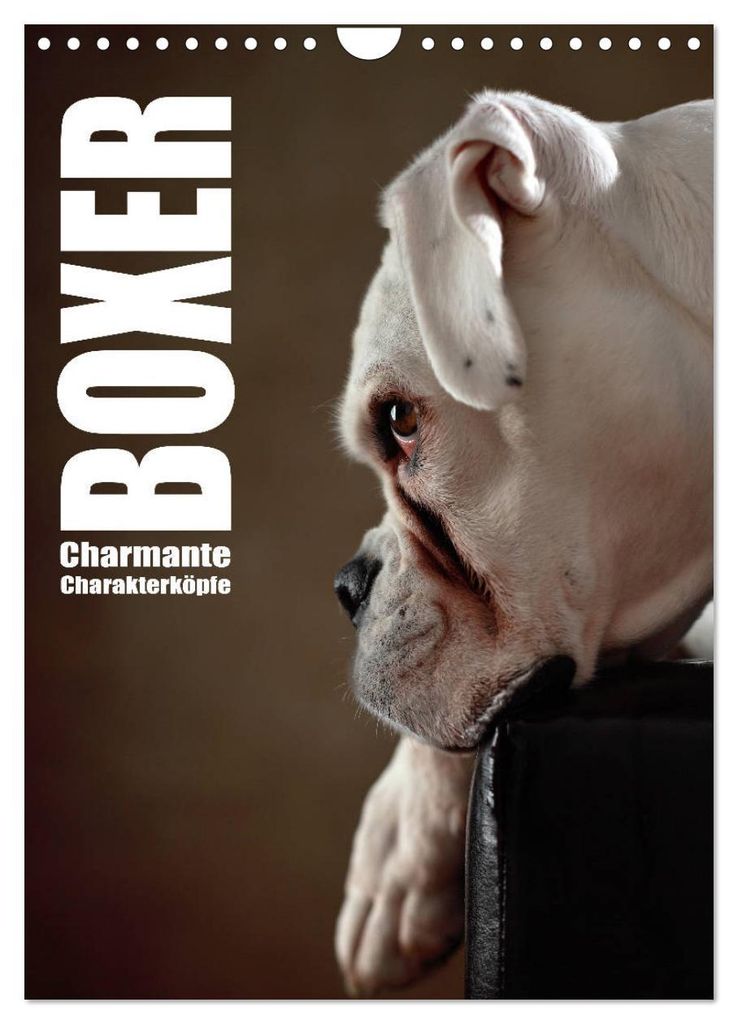 Boxer - Charmante Charakterköpfe (Wandkalender 2027 DIN A4 hoch), CALVENDO Monatskalender
