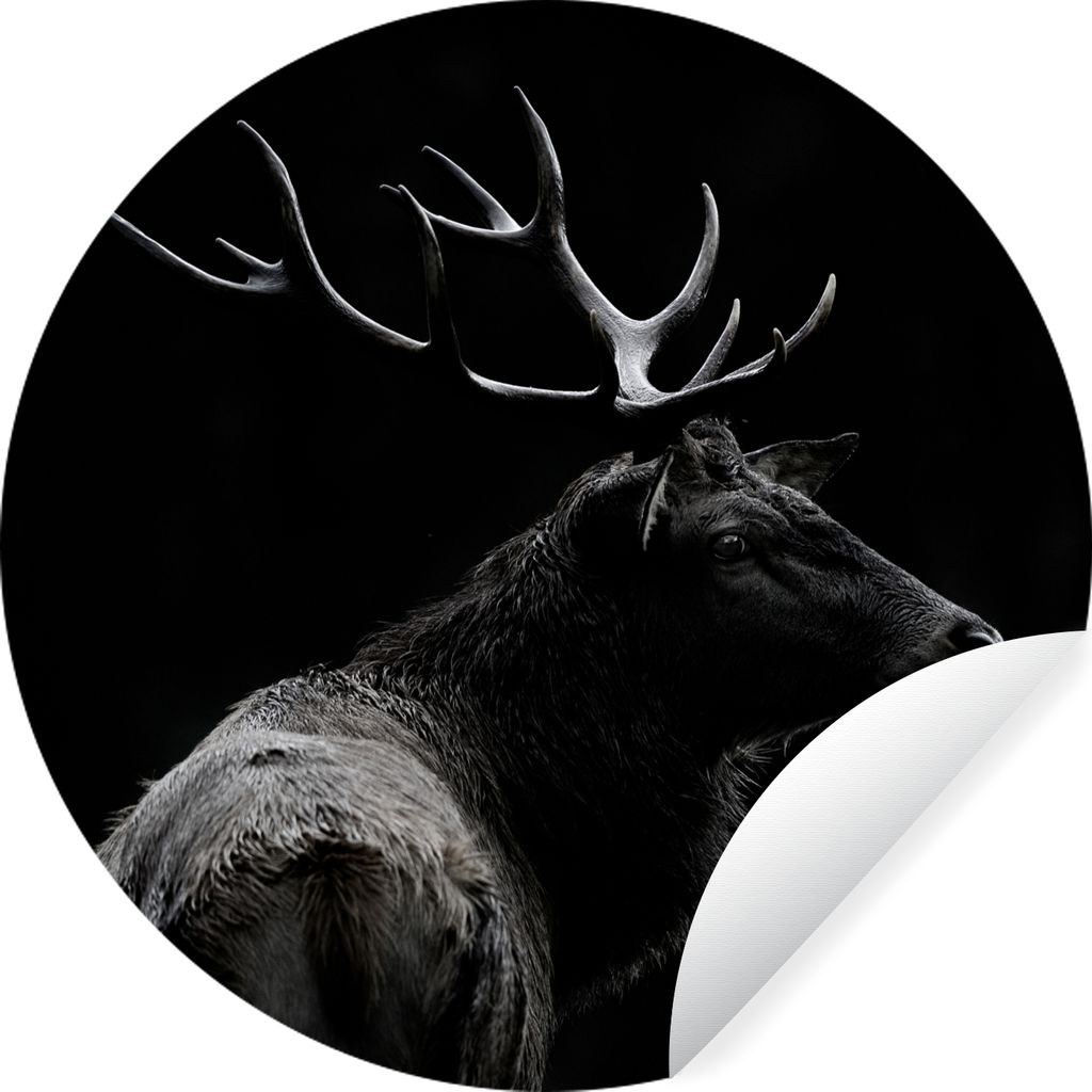 MuchoWow Runde Wandtattoo - Wandsticker Tapete Aufkleber Hirsch - Schwarz - Porträt - Geweih - Tiere Ø 30 cm Selbstklebend und Repositionierbar...