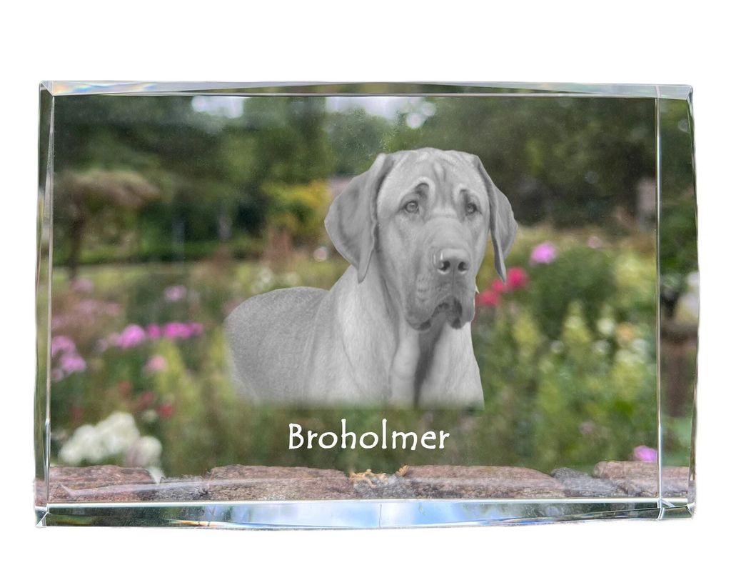 Schwarz-Lohfarbener Waschbärenhund, Black and Tan Coonhound - Kristall mit einem Hundebild, Bild im Glas, moderne Ausstellung des Art-Dog-Bildes.