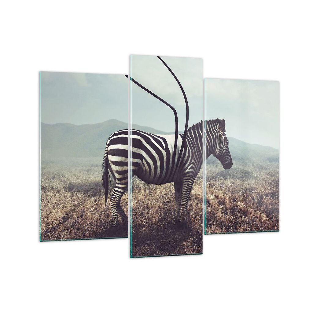 Bilder auf glas - Zebra Tier Wiese - 130x100cm - Glasbilder - Wandbilder - Kunstdruck - zum Aufhängen bereit - Wanddekoration aus Glas - Glas Bild...