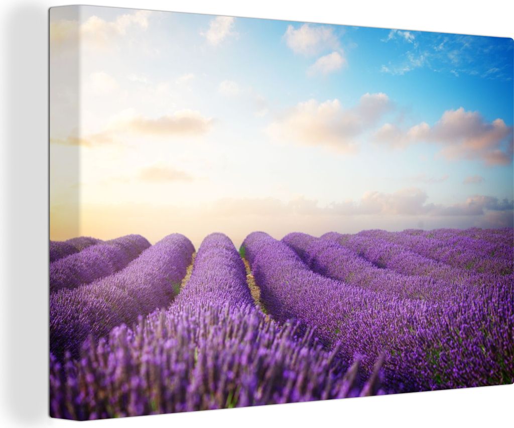 OneMillionCanvasses - Leinwandbilder - 150x100 cm, Lavendel - Himmel - Wolken - Blumen, Wandbilder Kunstdruck Wanddekoration - Foto auf Leinwand ...
